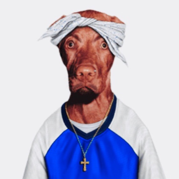 Pets Rock / TWO RAP / Mug / NIB / Host Pick - Picture 4 of 11